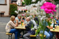 Besucher trinken Wein an der Basilika, im Vordergrund eine knallrosa Blume