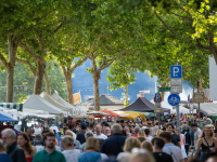 Dichtes Besucheraufkommen auf einem Straßenmarkt unter hohen Platanen. Links und rechts reihen sich weiße Verkaufszelte, im Hintergrund bunte Stände.