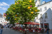 Bunte Lampions hängen in großem Baum über belebtem Café mit roten Sonnenschirmen.